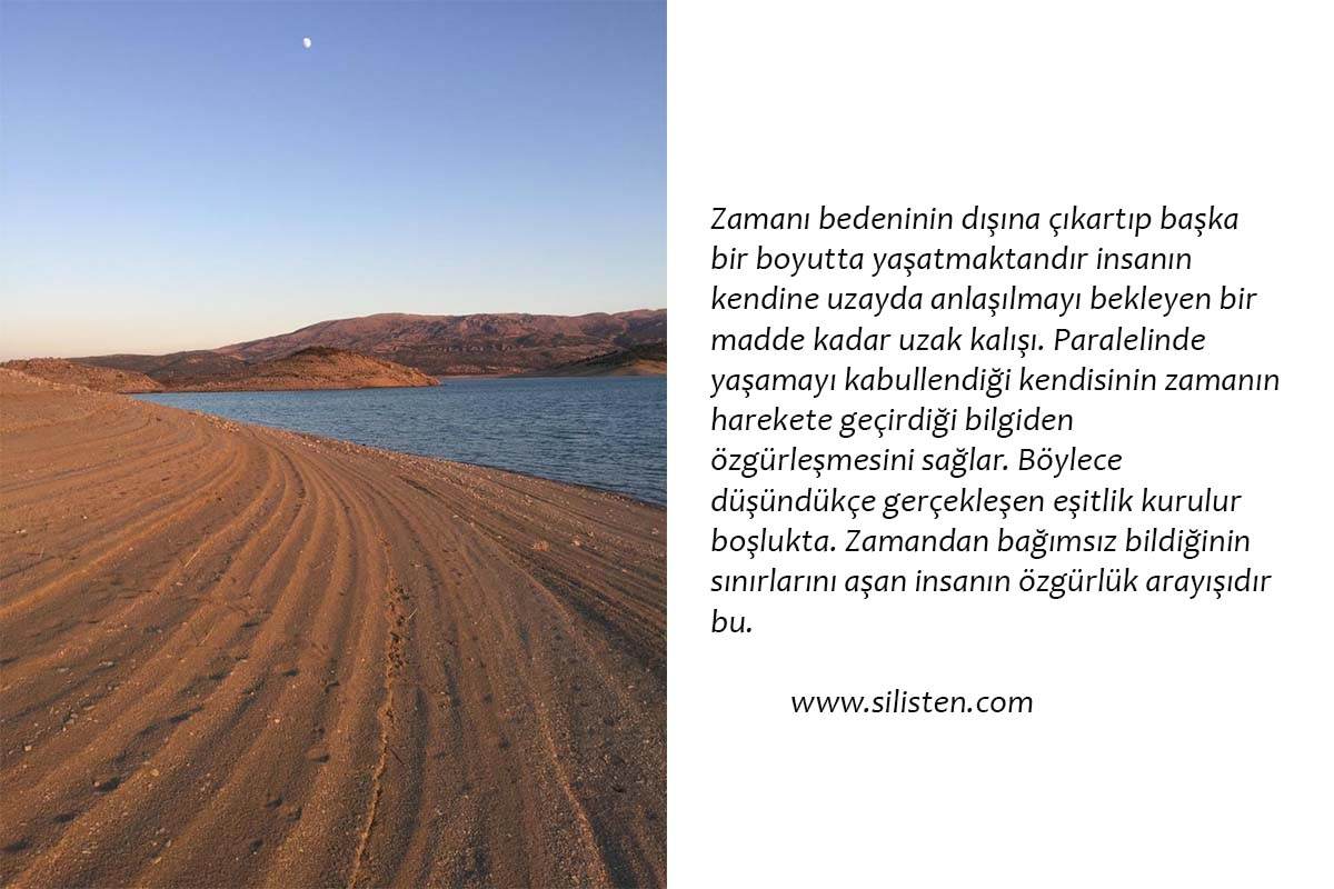 Deyiş 11