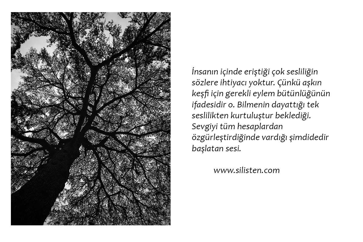 Deyiş 12