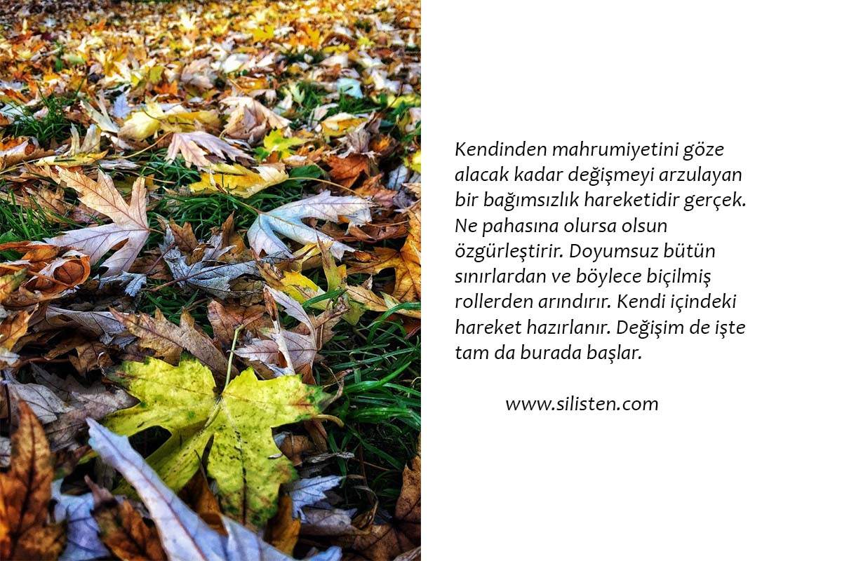 Deyiş 14