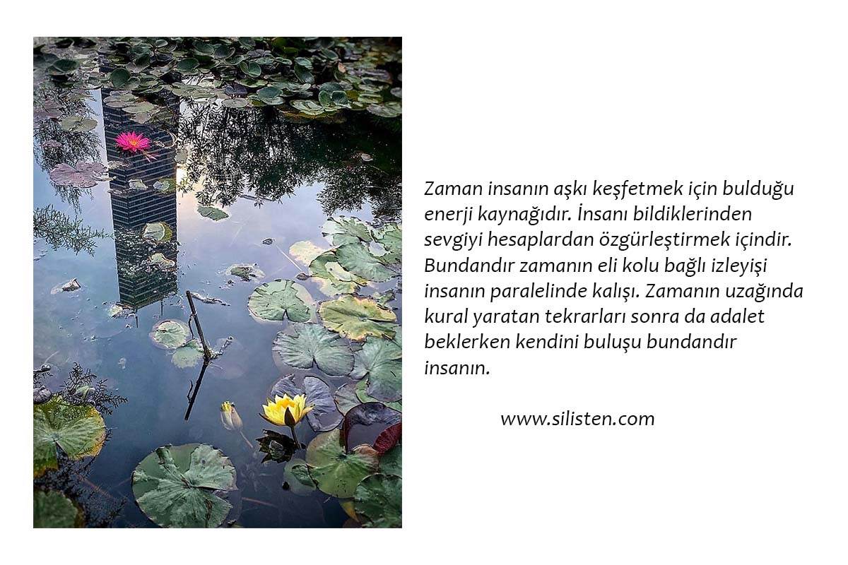 Deyiş 16