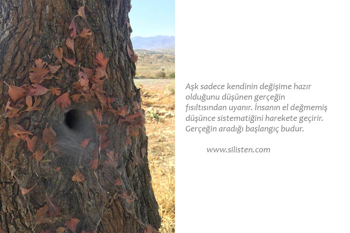 Deyiş 17