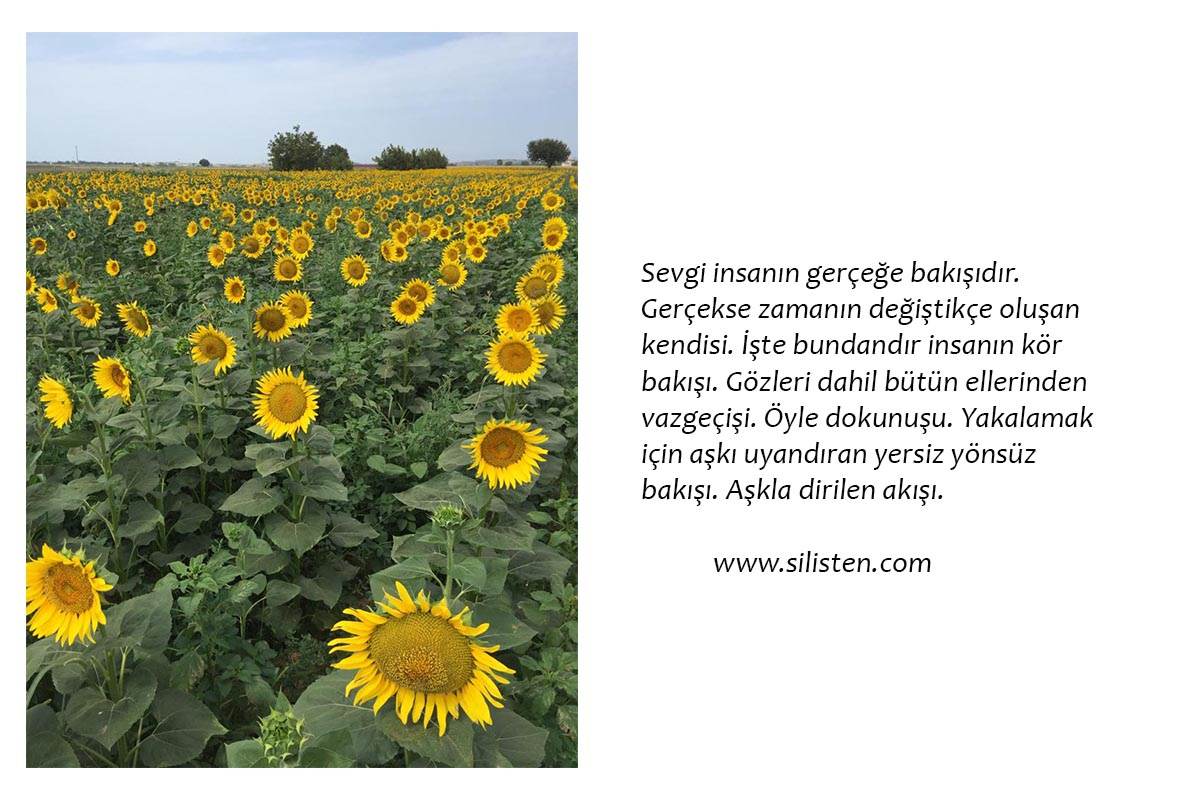 Deyiş 18