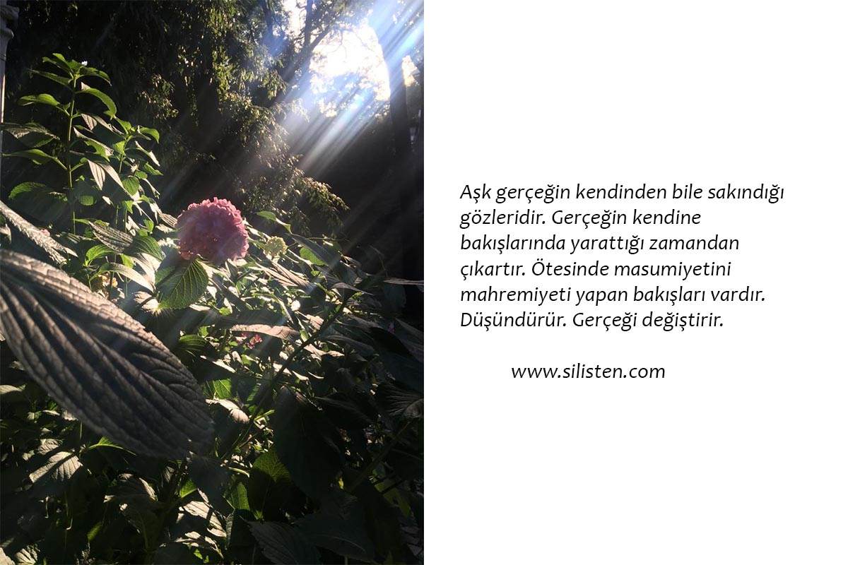 Deyiş 19