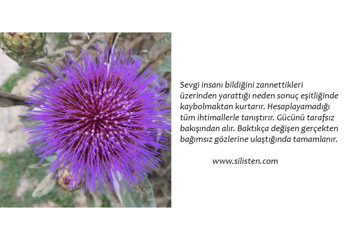 Deyiş 20