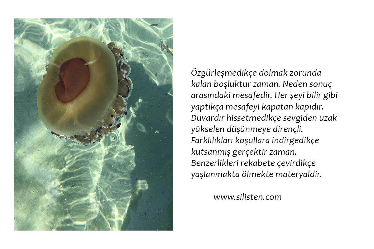 Deyiş 21