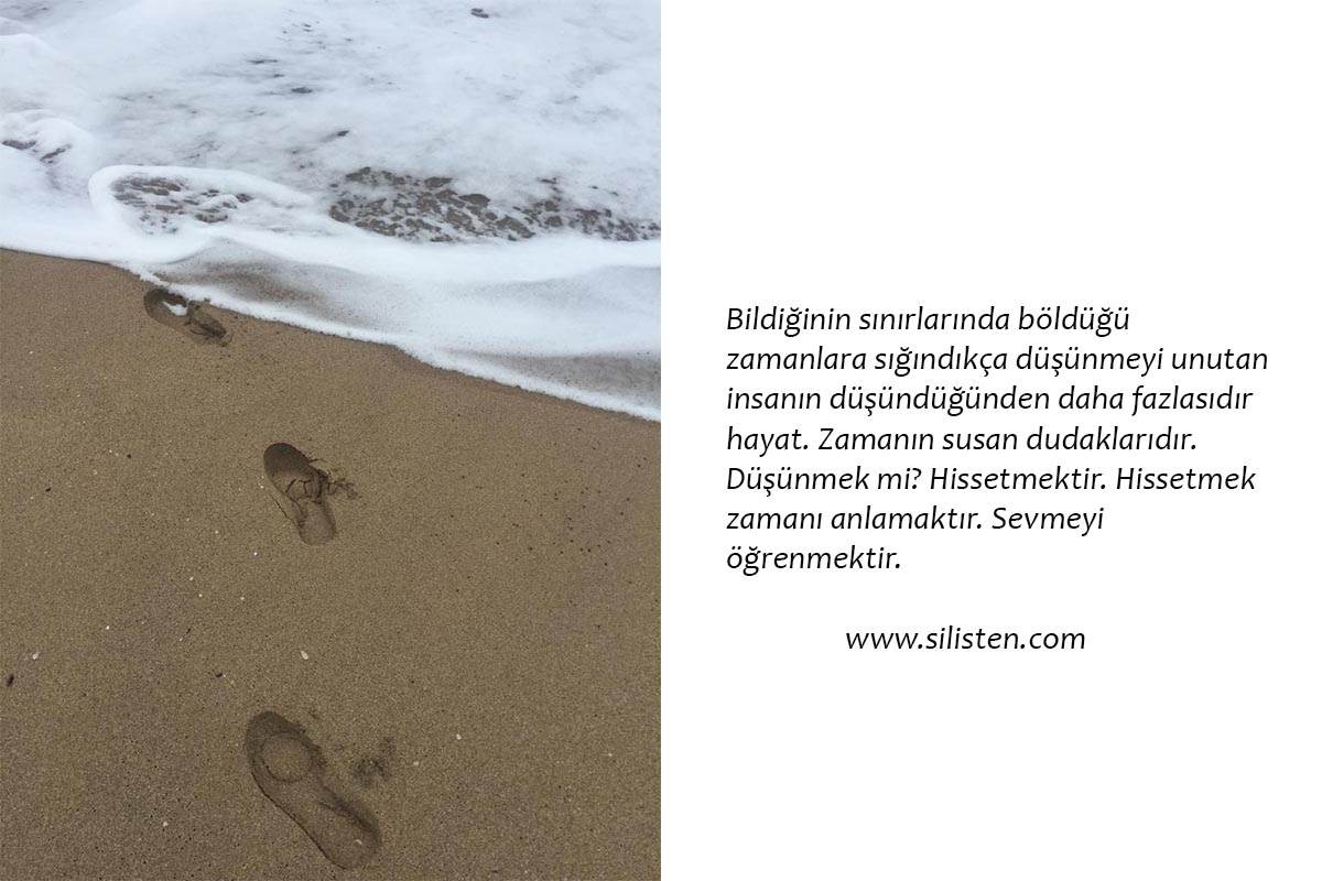 Deyiş 23