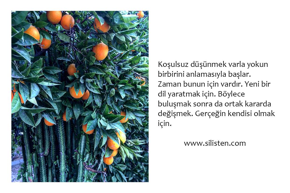 Deyiş 25