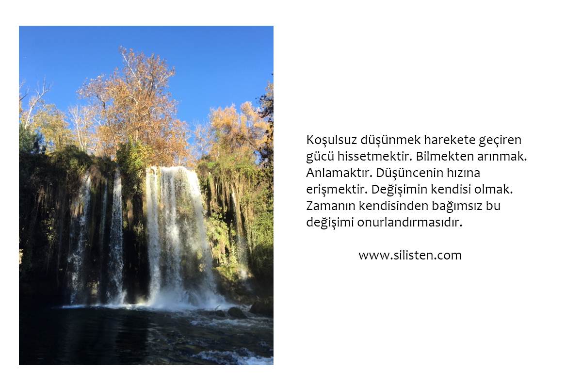 Deyiş 29