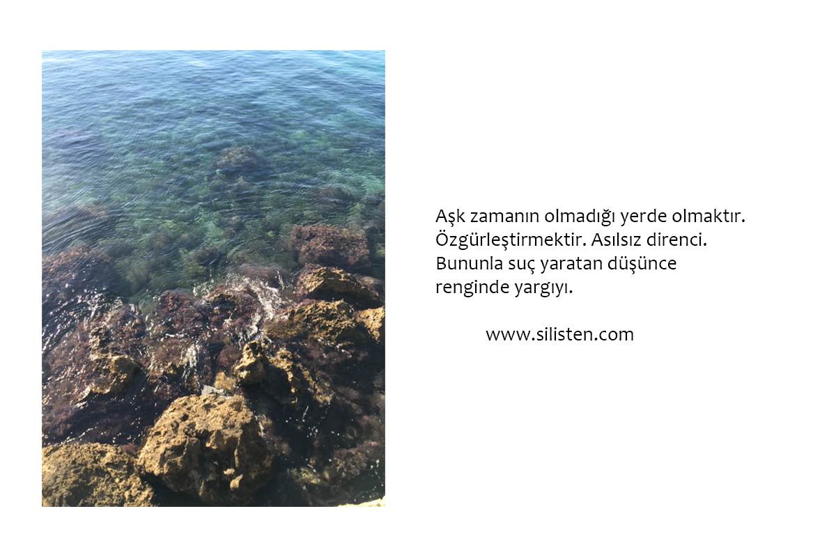 Deyiş 31