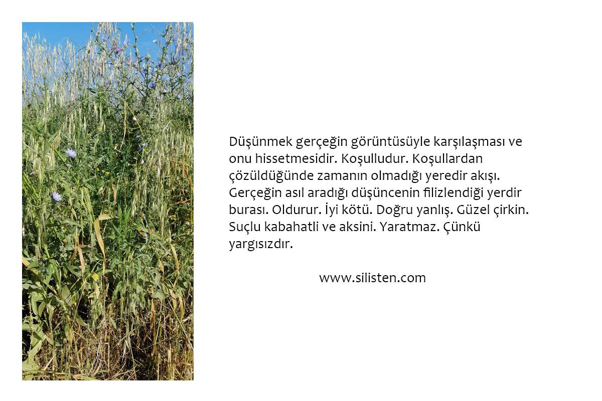 Deyiş 34