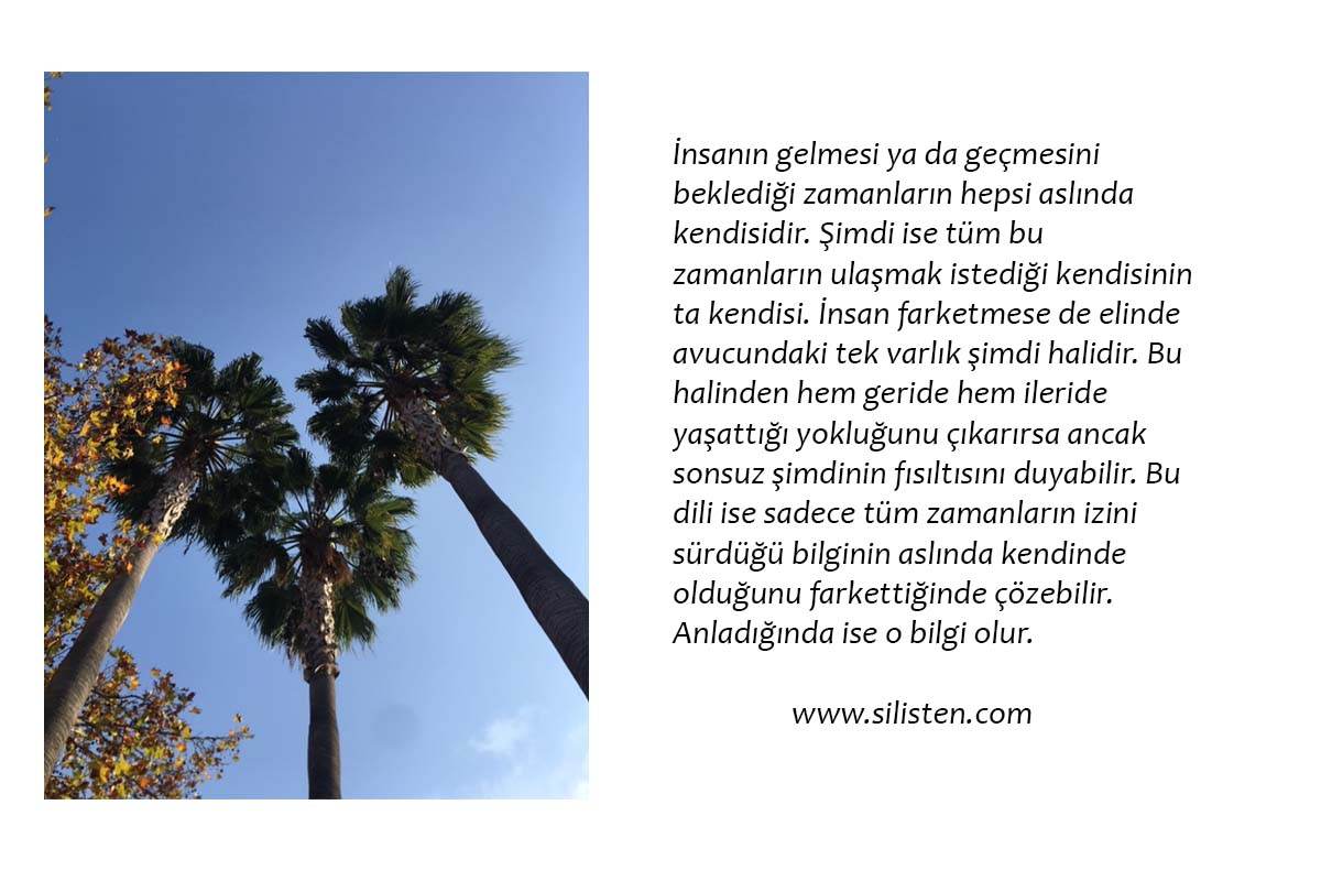 Deyiş 4
