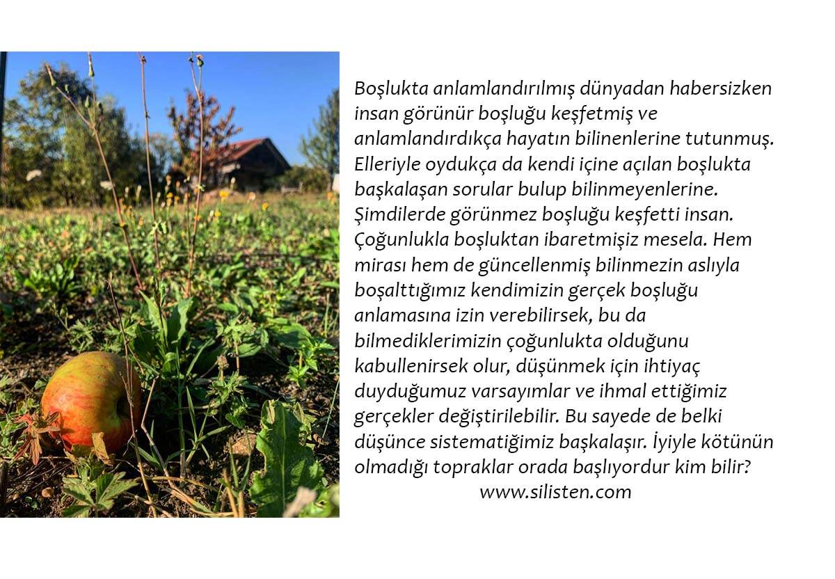 Deyiş 5