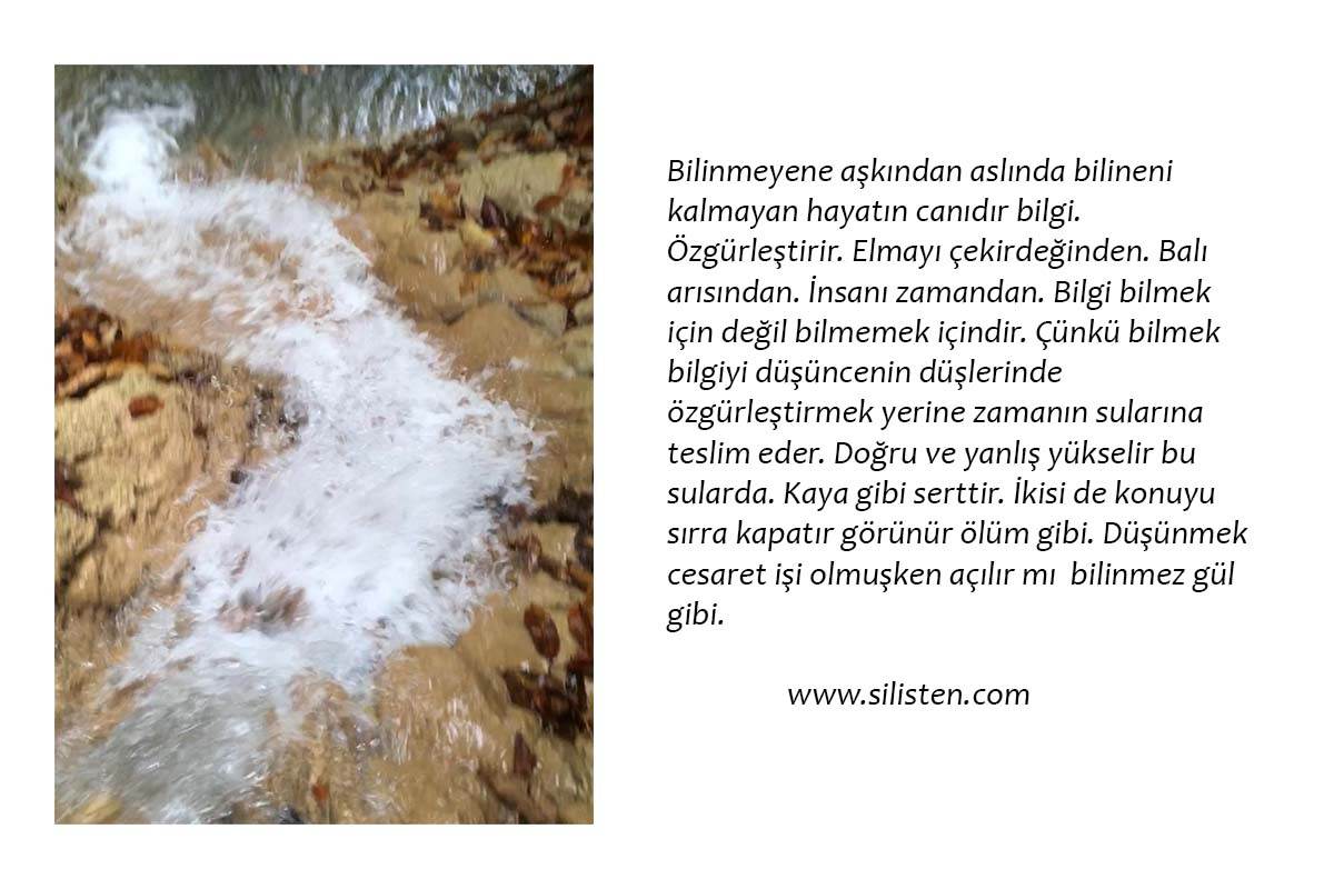 Deyiş 6