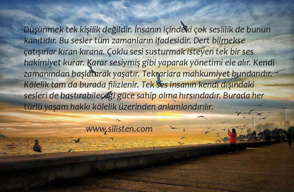Deyiş 8