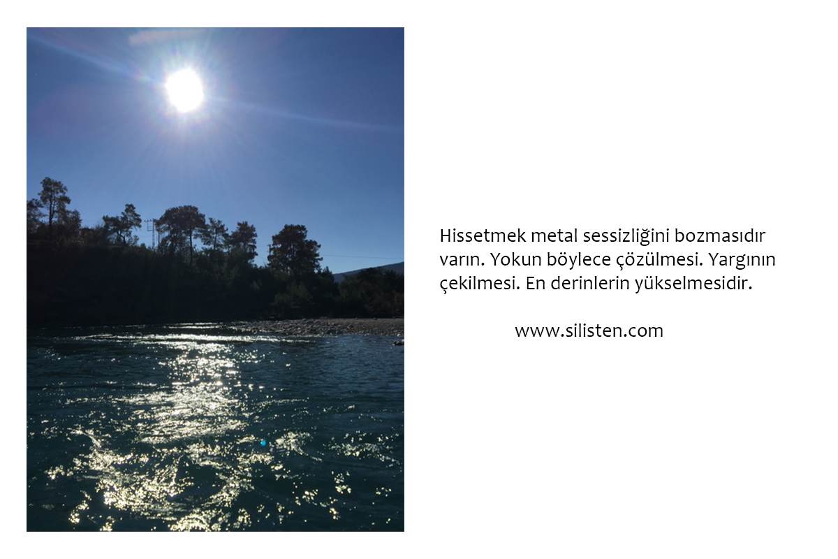 Deyiş 41