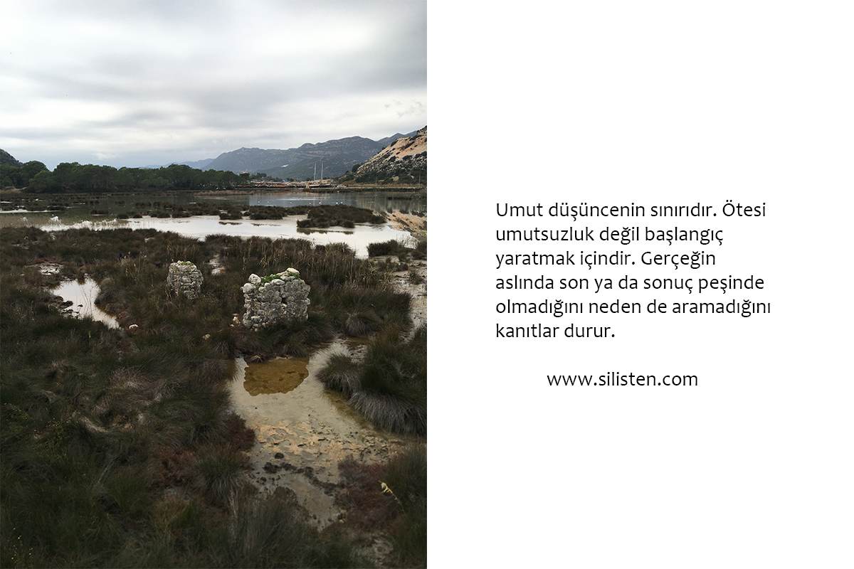 Deyiş 46