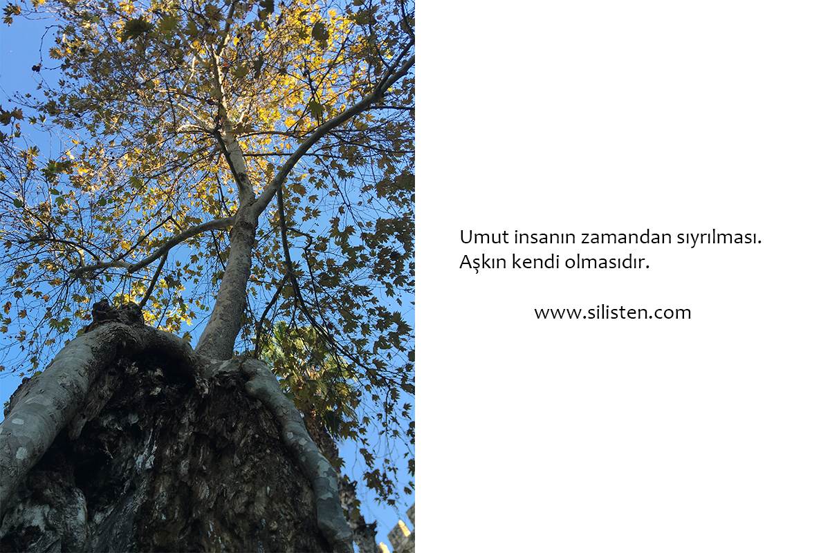 Deyiş 57