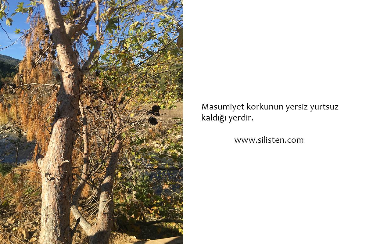Deyiş 63