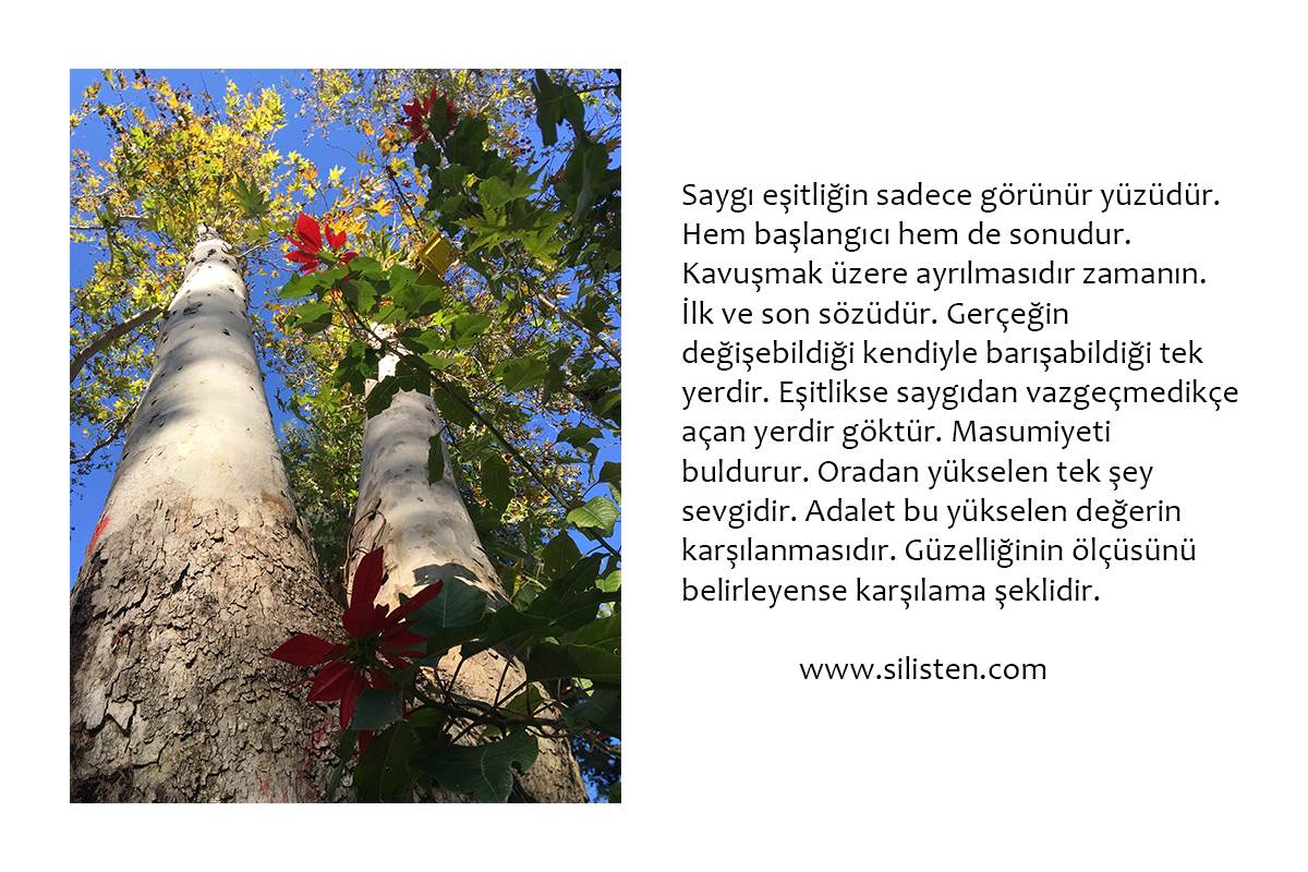 Deyiş 65