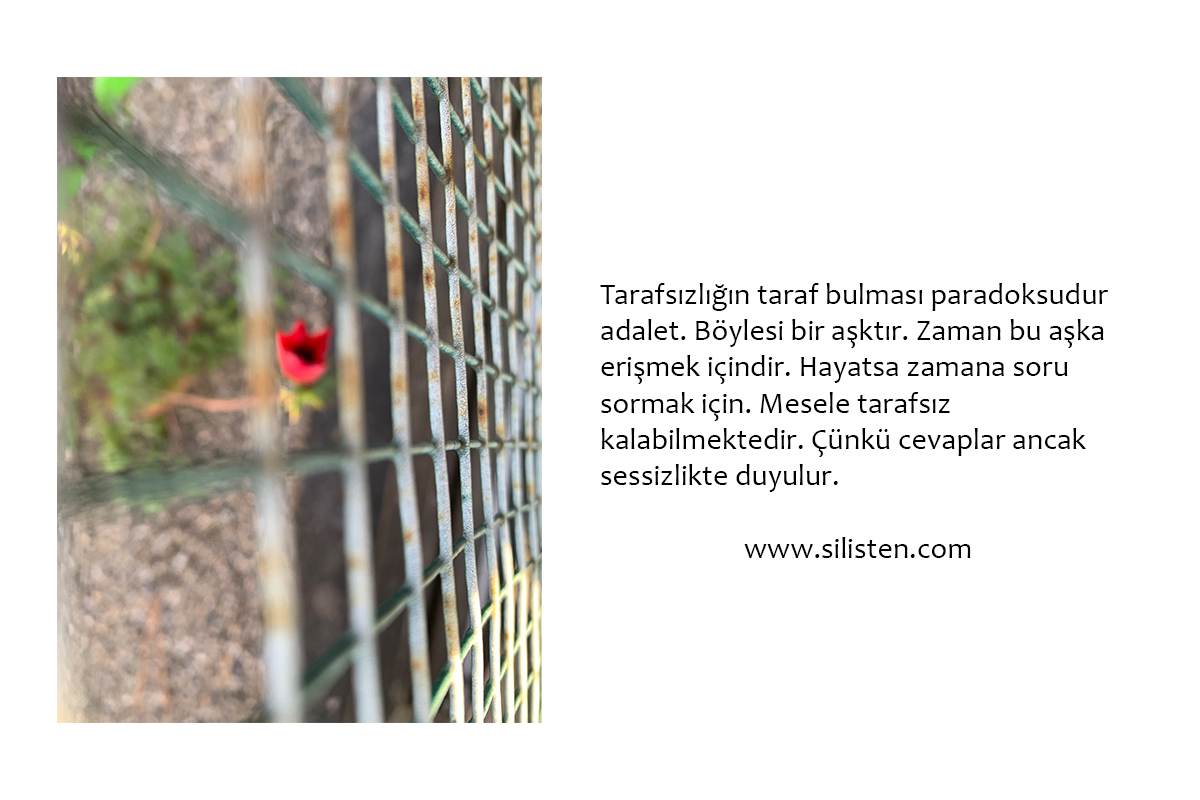 Deyiş 73