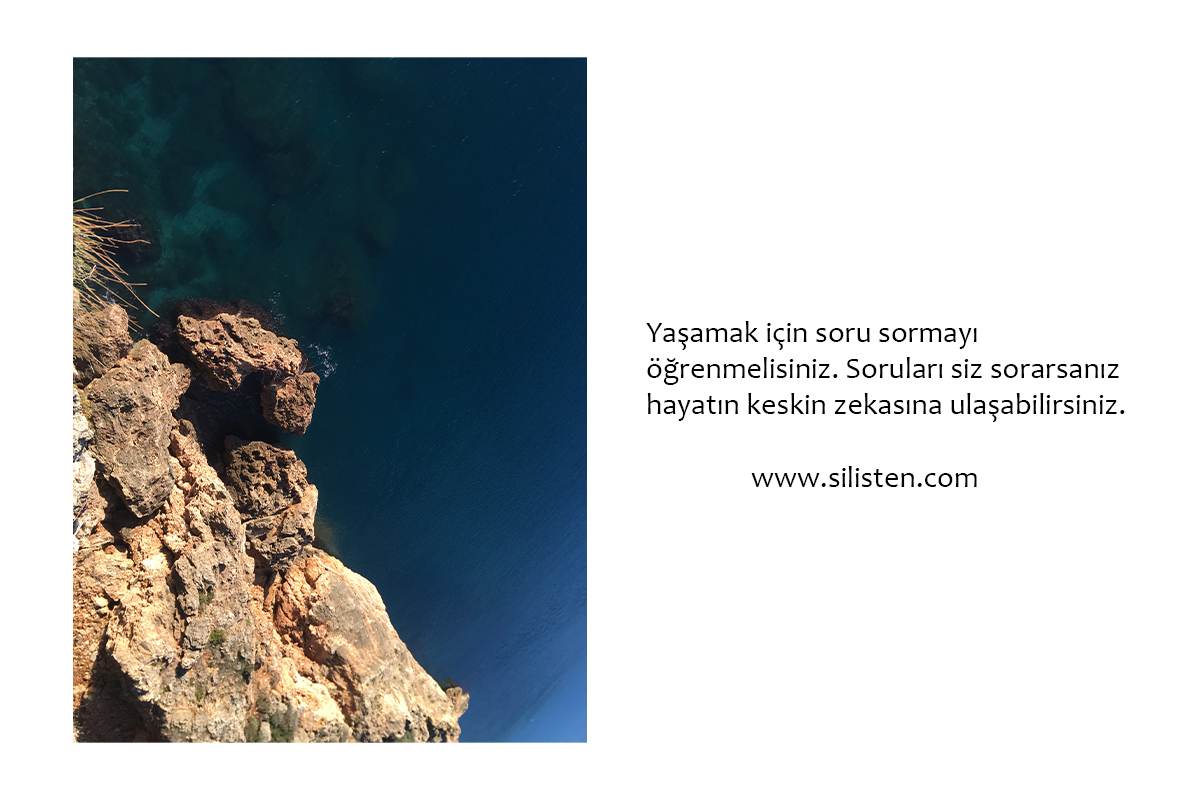 Deyiş 74