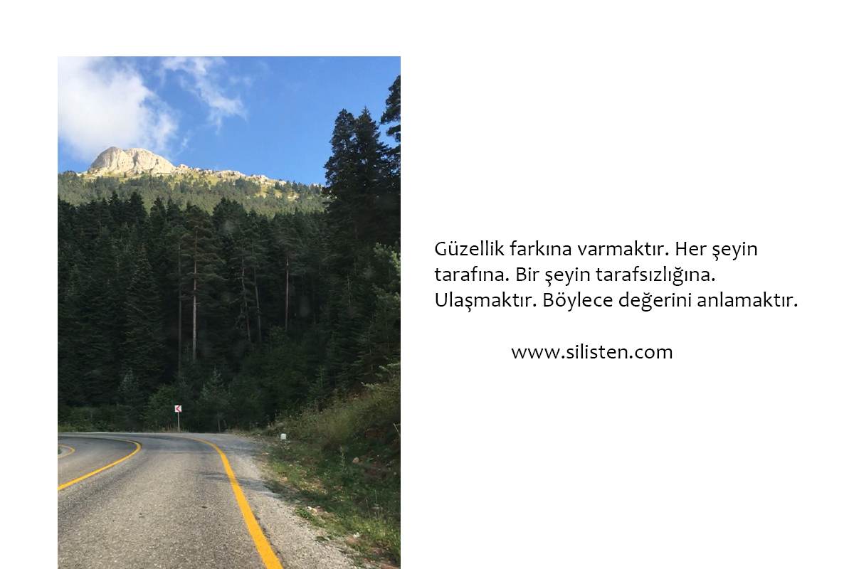 Deyiş 79