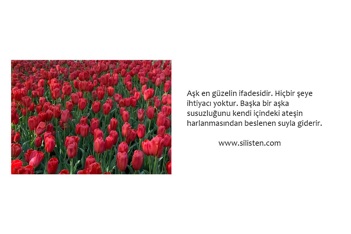 Deyiş 83