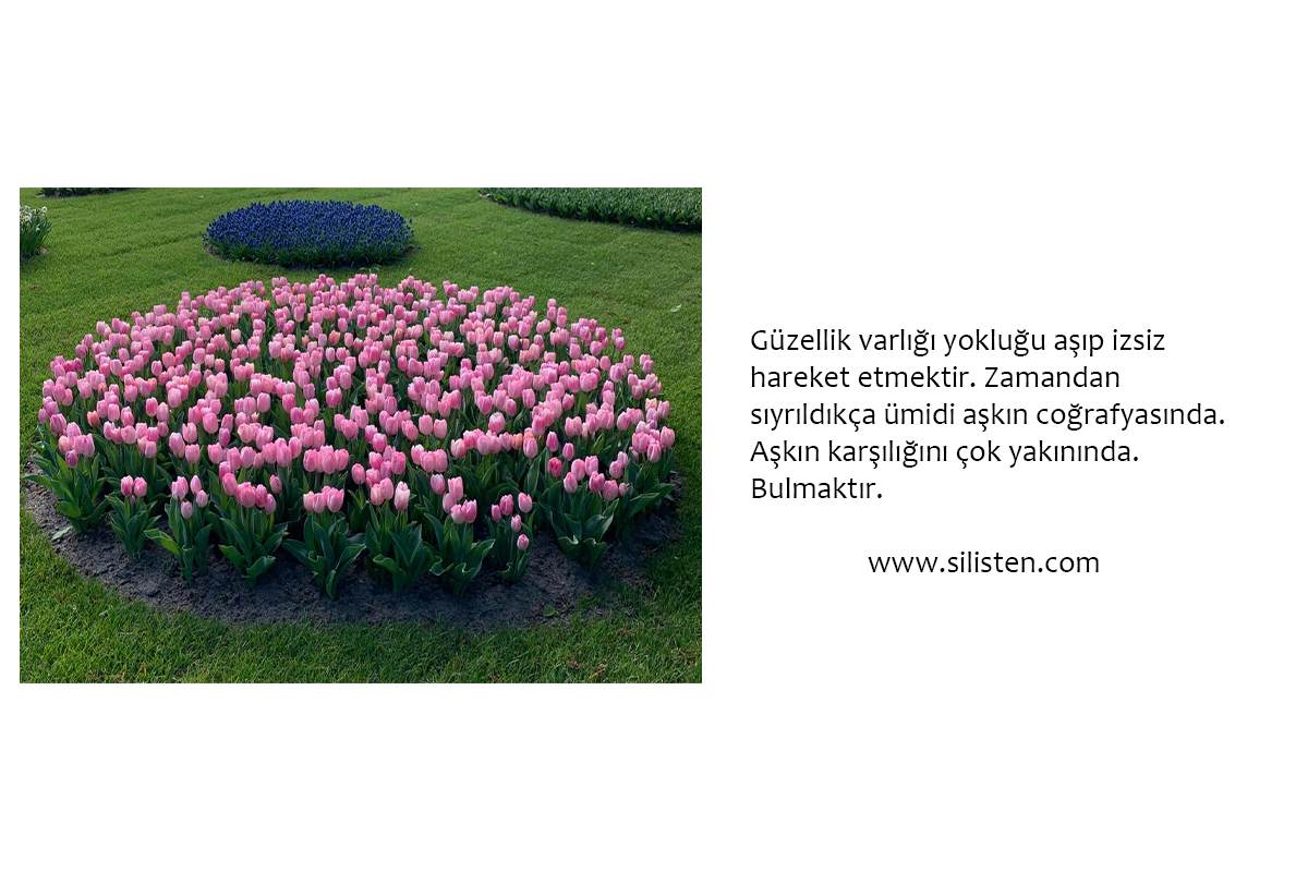 Deyiş 84