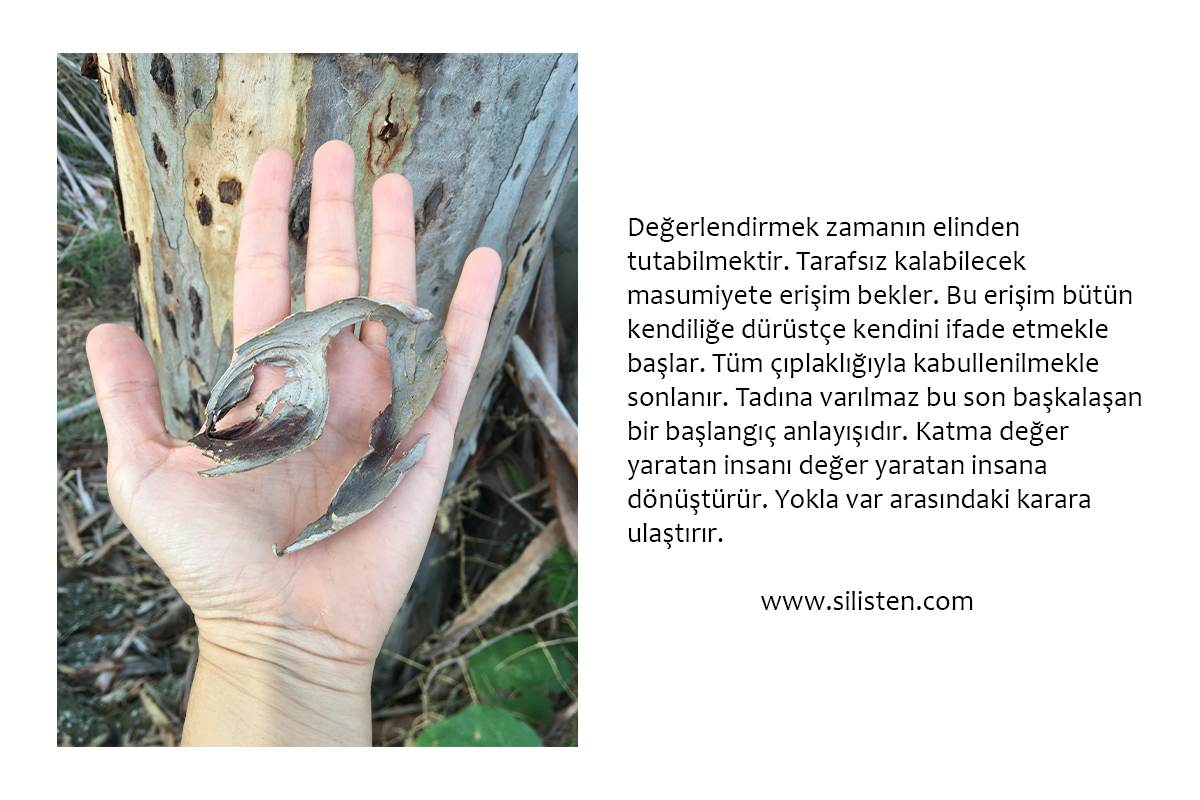 Deyiş 85