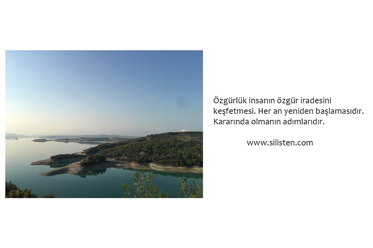 Deyiş 87