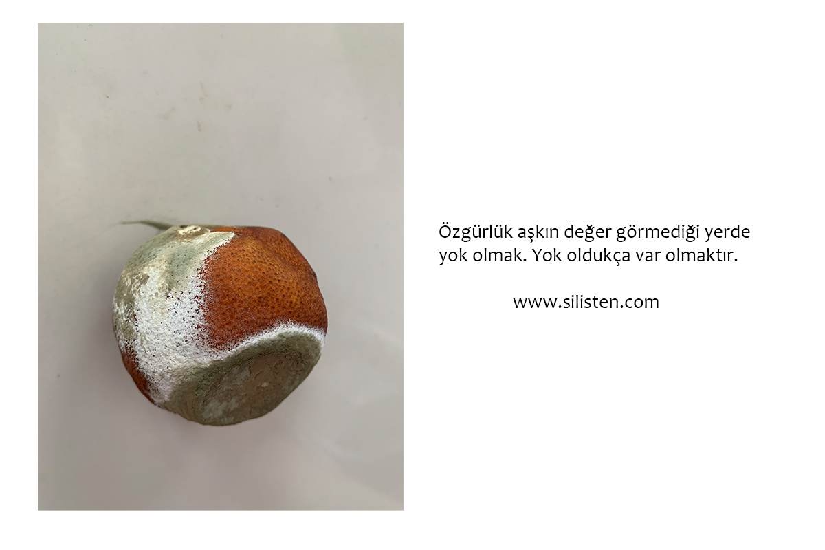 Deyiş 95