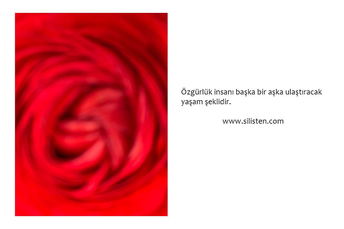 Deyiş 98