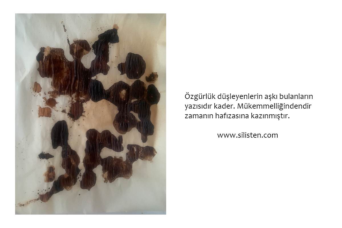 Deyiş 104