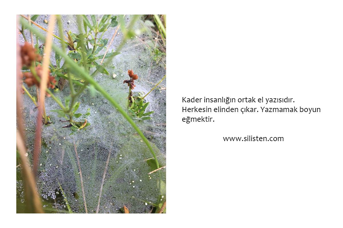 Deyiş 111