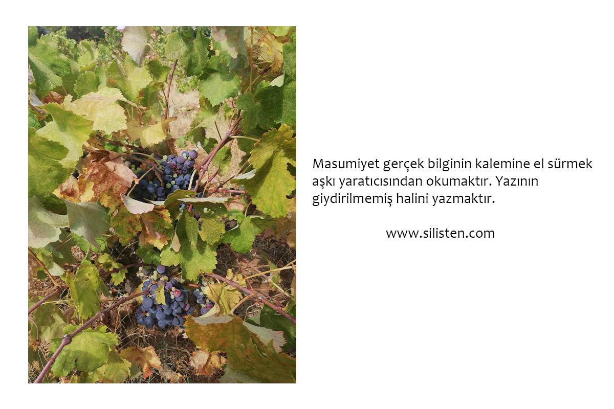 Deyiş 114