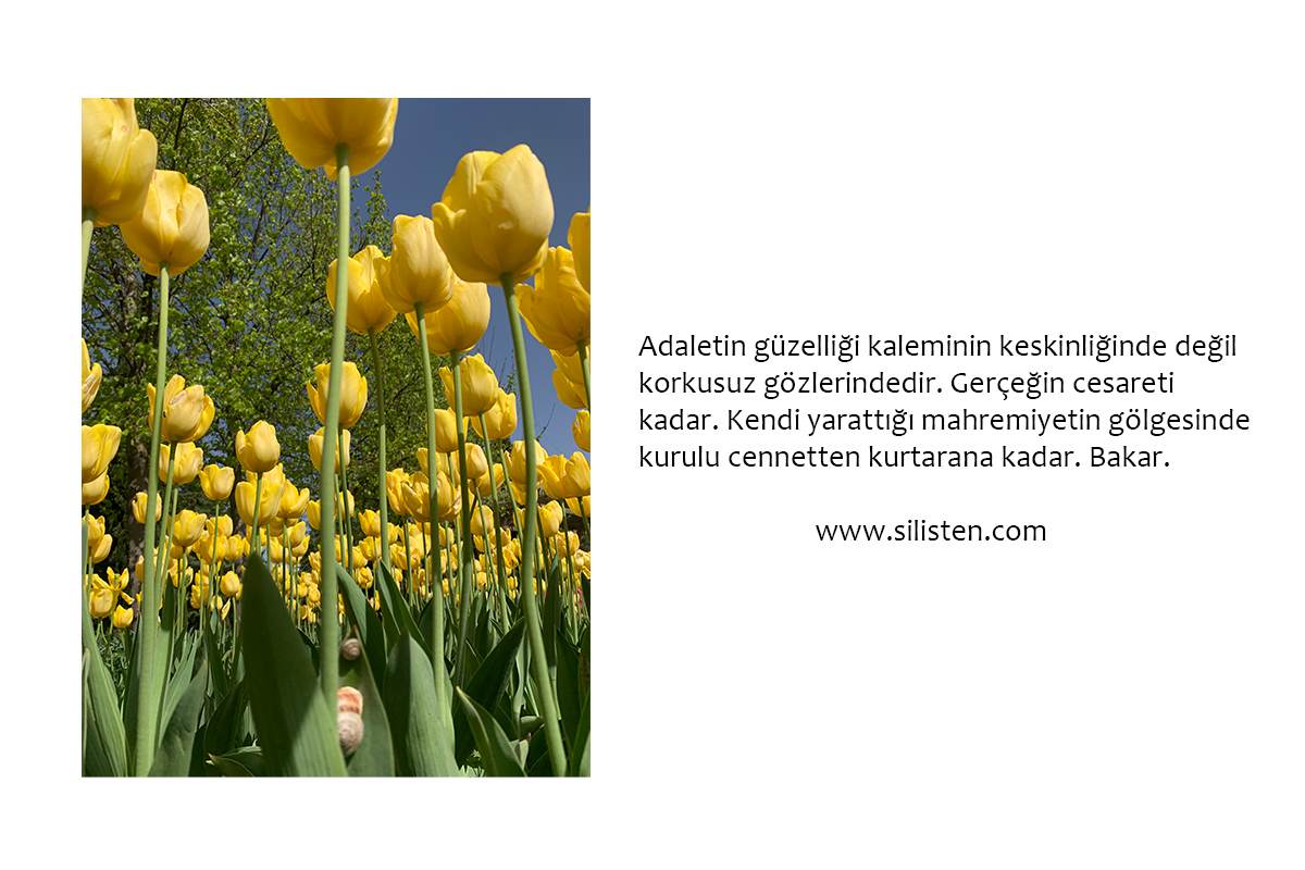 Deyiş 118