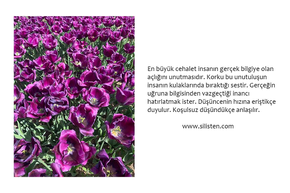 Deyiş 122