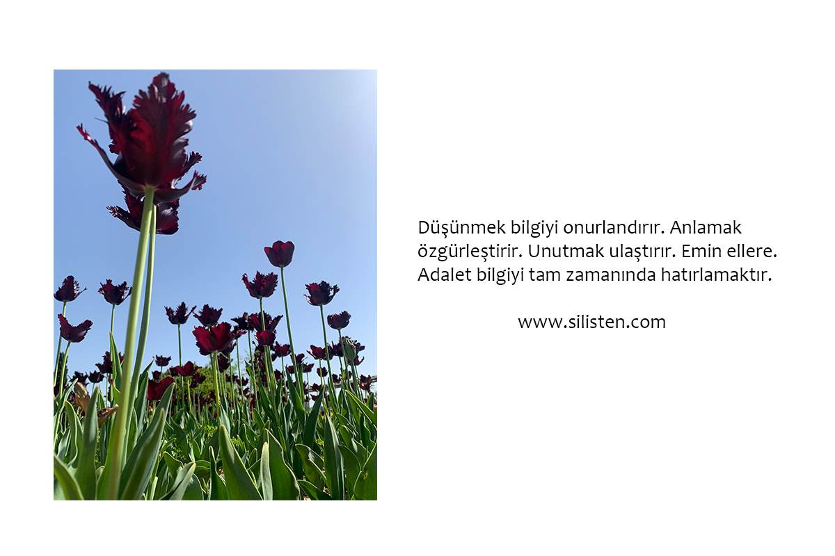 Deyiş 126