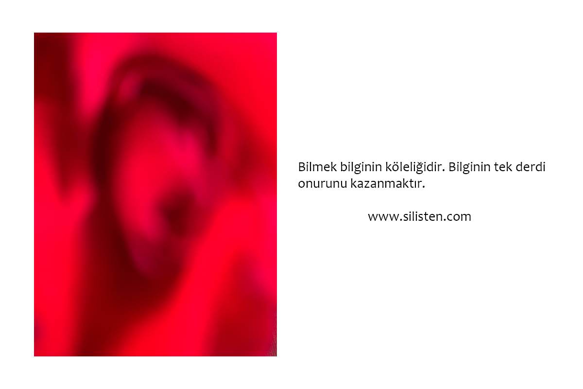 Deyiş 128