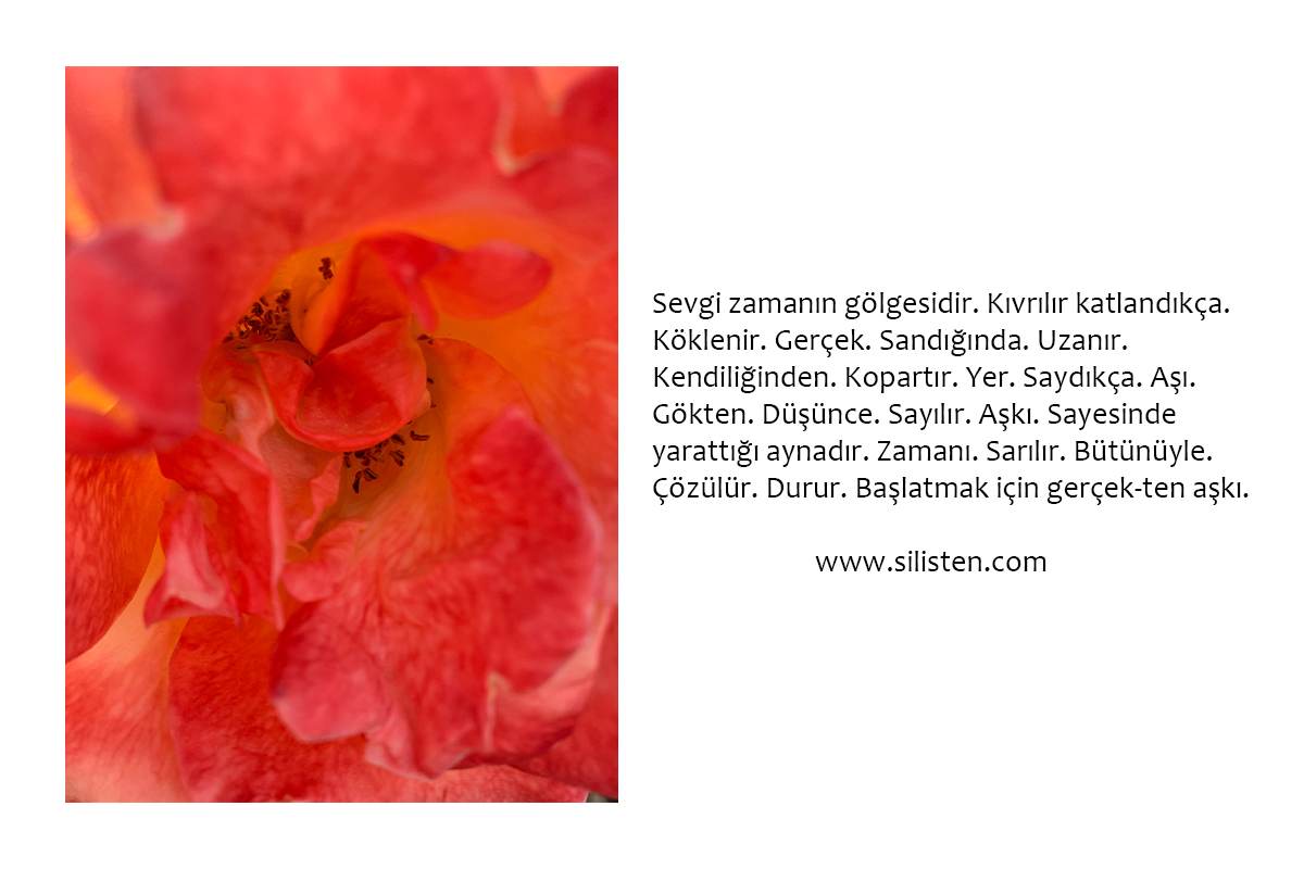 Deyiş 129